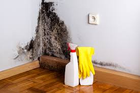 Best Mold Documentation for Insurance Claims  in St Gabriel, LA